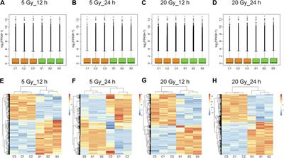 X-Ray Causes mRNA Transcripts Change to Enhance Orai2-Mediated Ca2+ Influx in Rat Brain Microvascular Endothelial Cells